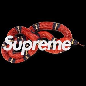 Meet your Posher, Paulie